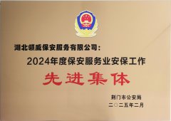 喜報(bào)！領(lǐng)威保安榮獲“2024年度保安服務(wù)業(yè)安保工